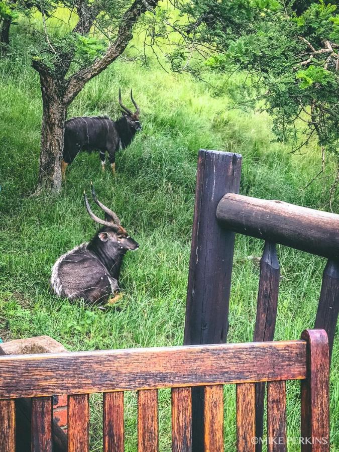 Bonnie View Game Lodge Hilton Luaran gambar